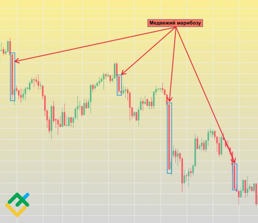 LiteFinance: «Медвежий марибозу»