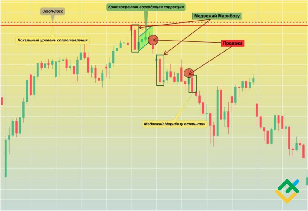 LiteFinance: Торговля с медвежьим «марибозу»
