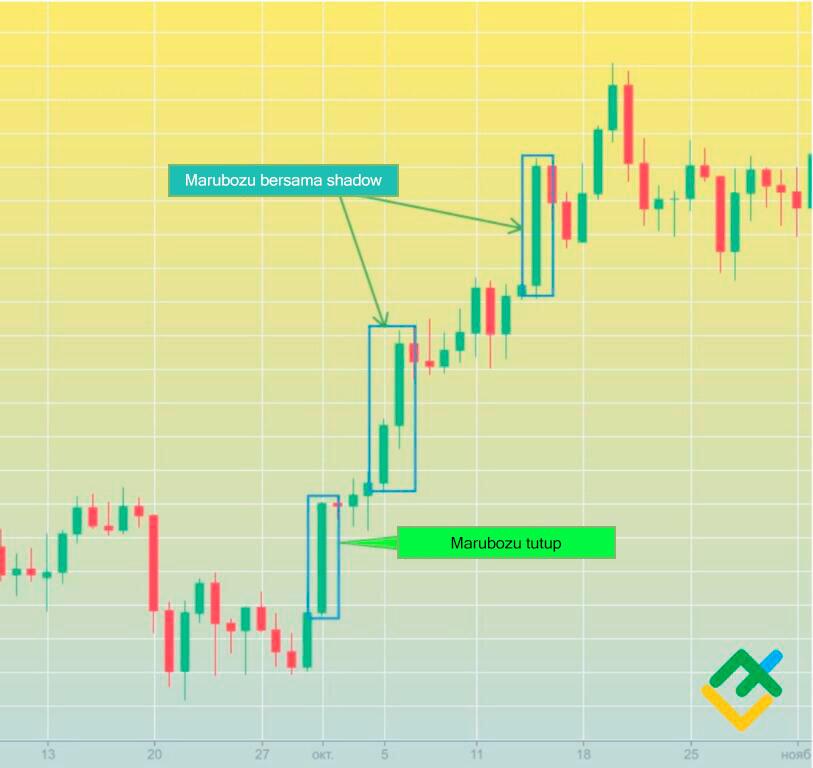 LiteFinance: Contoh Corak