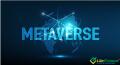 Обзор криптовалюты Metaverse