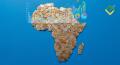 Who Is the Richest Man in Africa and How They Built Their Wealth