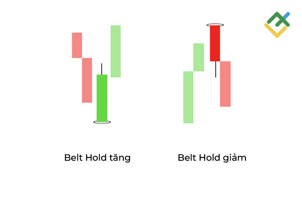 LiteFinance: 12. Belt Hold