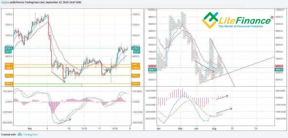 LiteFinance: Contoh Praktis Trading Menggunakan Grafik Tic-Tac-Toe