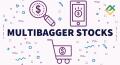 Czym są Akcje Wzrostowe (multibagger) i jak znaleźć akcje o wysokiej dochodowości