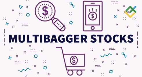 Czym są Akcje Wzrostowe (multibagger) i jak znaleźć akcje o wysokiej dochodowości