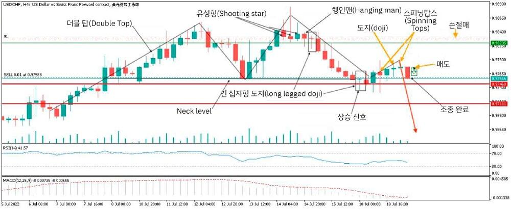 라이트파이낸스: 도지 패턴 예시
