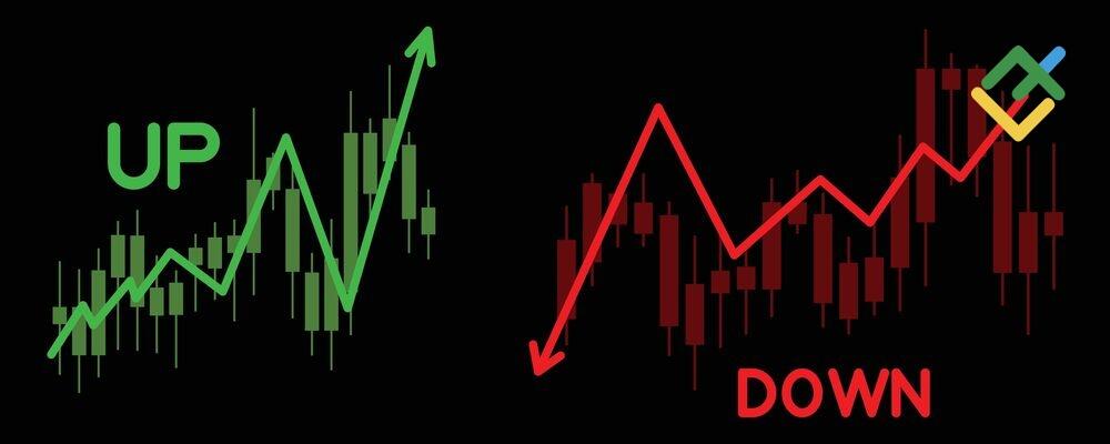 LiteFinance: Что означают бычий и медвежий тренды на фондовом рынке?