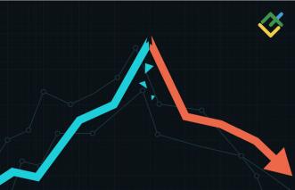 Forex trading tutorial: Learn how to trade forex here | LiteFinance