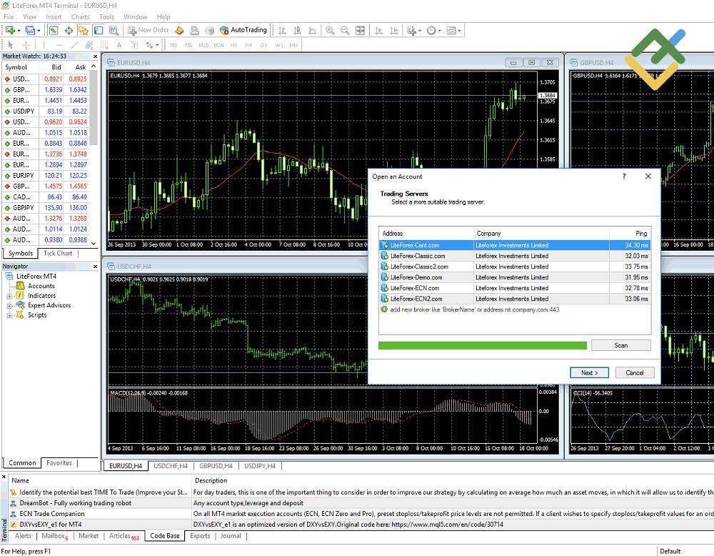 LiteForex: 4. Schritt - Im Konto einloggen