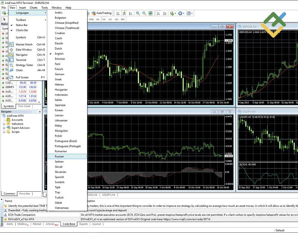 LiteForex: 4. Schritt - Im Konto einloggen