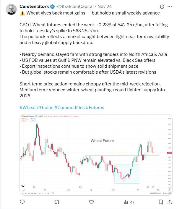 LiteFinance: Sentimen Pasar untuk Wheat di Media Sosial