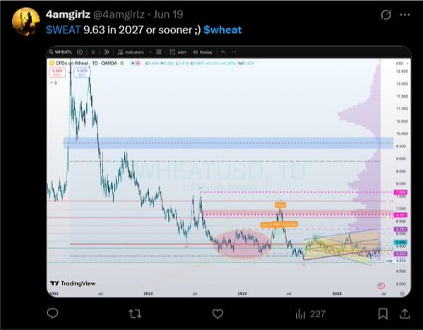 LiteFinance: Sentimen Pasar untuk Gandum di Media Sosial