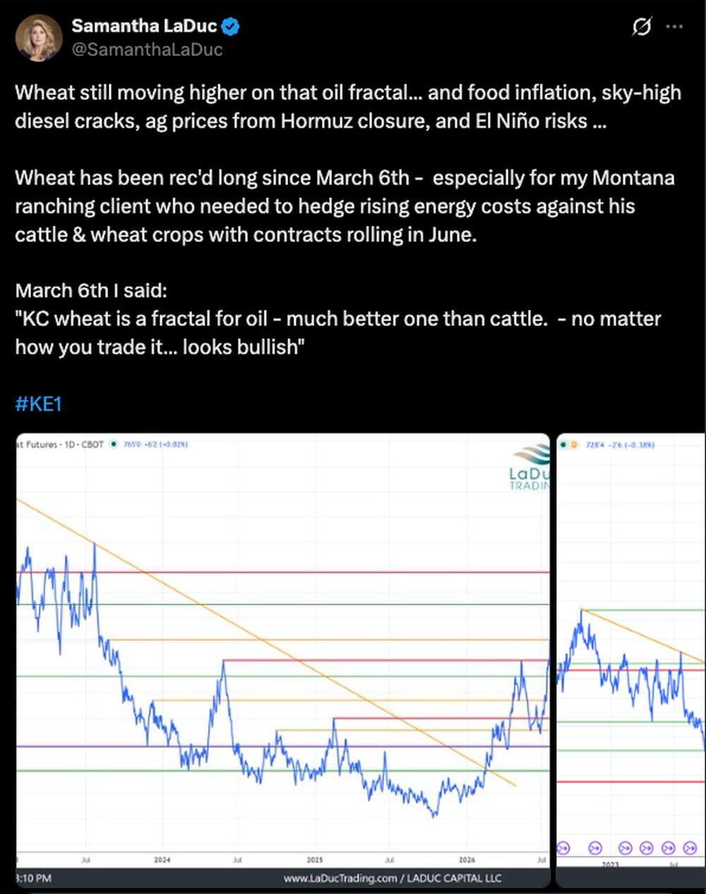 LiteFinance: Market Sentiment for Wheat on Social Media