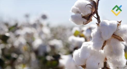 William Gann – Finansowy Nostradamus