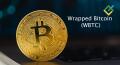 Apa Itu Wrapped Bitcoin (WBTC)?