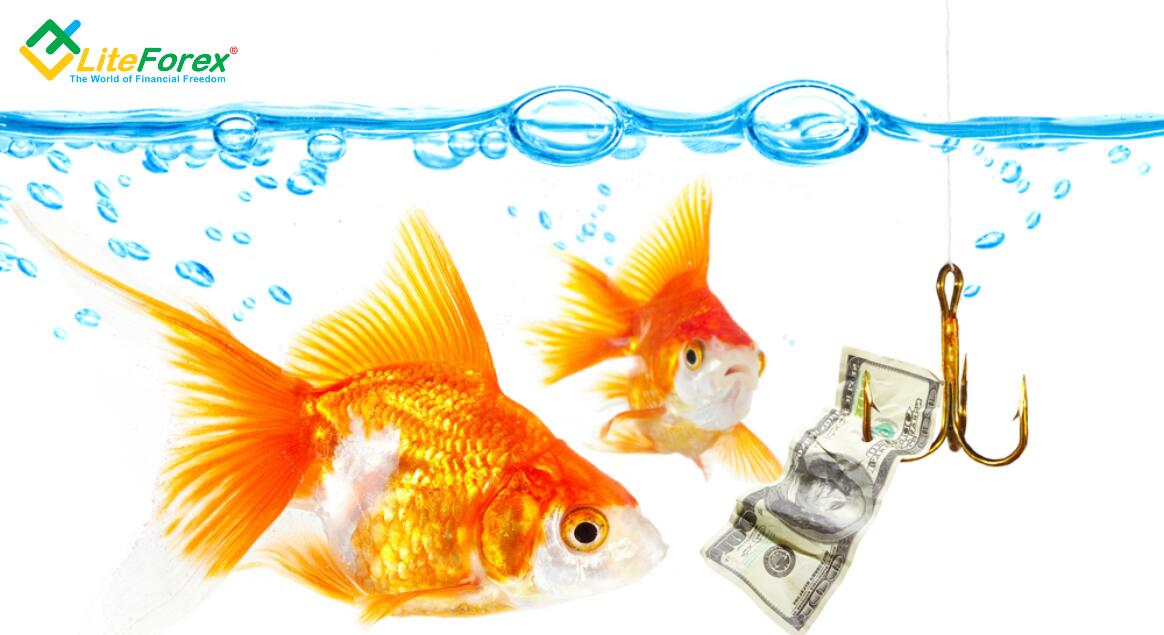 LiteForex: Życzenia Donalda Trumpa się spełniają. Do czasu...