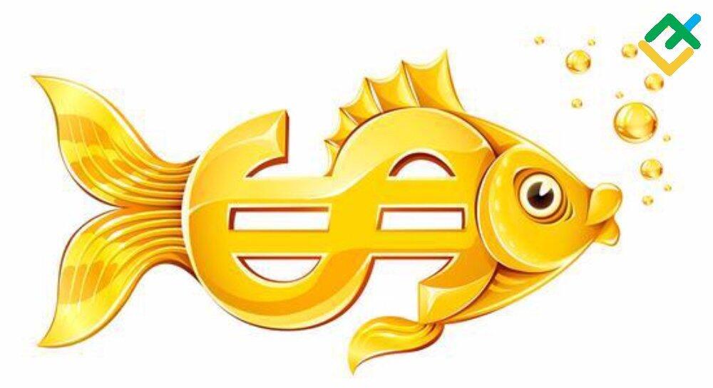 Dolar złowił złotą rybkę