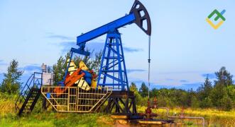 Analisis dalam Jangka Pendek untuk Minyak, Emas, dan EURUSD pada 11.02.2026