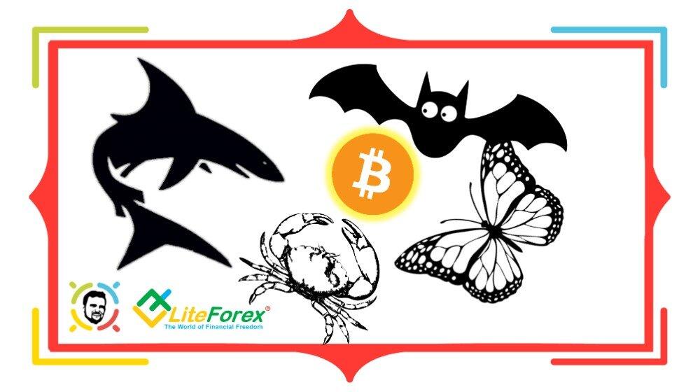 Pola harmonik: Gartley, Bat, Butterfly, Crab dan Shark