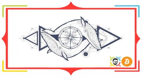 Permainan Paus atau Manipulasi di Pasar Cryptocurrency