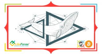 Zagrania wielorybów czyli manipulacje na rynku kryptowalut (część 2)