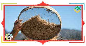 Opracowujemy filtr na wszawicę dla kryptowalut (część 2)