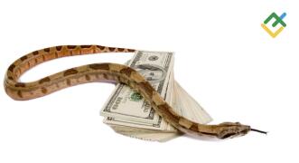 Ancaman terhadap Dollar AS Datang dari Dalam. Perkiraan pada 03.12.2024