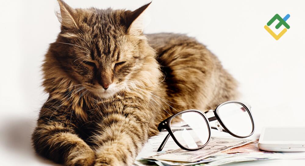 Dollar benefits from shocks. Forecast as of 04.10.2022 Dollar benefits from shocks. Forecast as of 04.10.2022