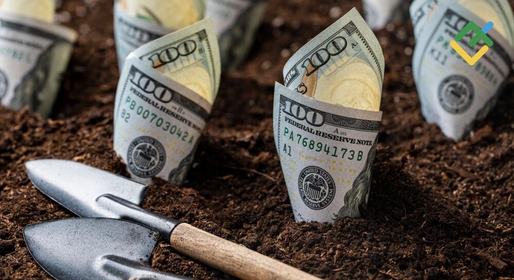 Demam Pembelian Dolar AS Semakin Menguat. Perkiraan pada 12.11.2024