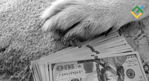 Dolar AS Tergelincir Seiring Berakhirnya Penutupan Pemerintahan Bersejarah. Perkiraan pada 13.11.2025