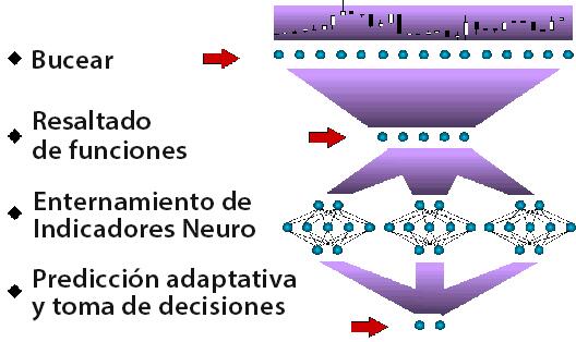 LiteFinance: ¿Qué es una red neuronal?
