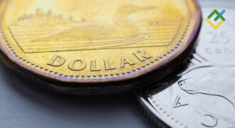 Loonie goes beyond the rules. Forecast as of 30.11.2022