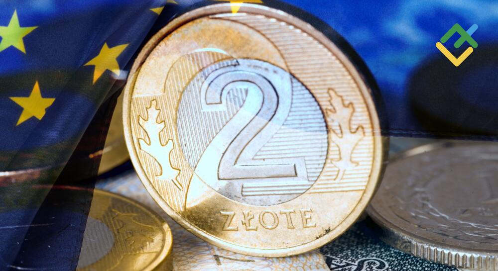 Zloty goes back to Europe. Forecast as of 17.10.2023 | LiteFinance