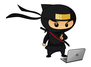 LiteForex: Ninja Trader (NT)