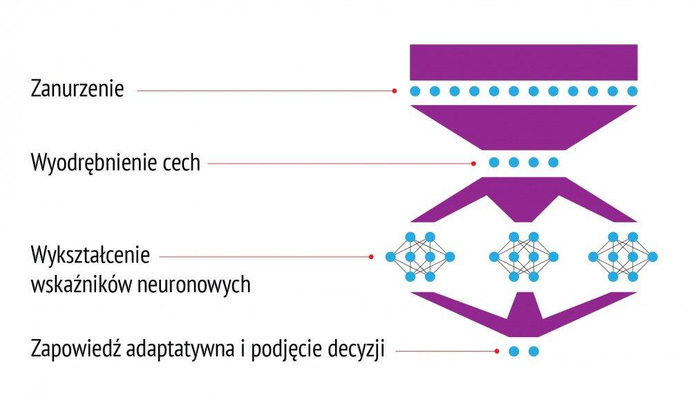 LiteForex: Co to w ogóle takiego „sieci neuronowe”?