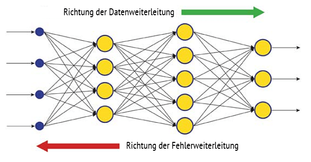 LiteForex: Können wir dieses System auf dem Forex-Markt nutzen?