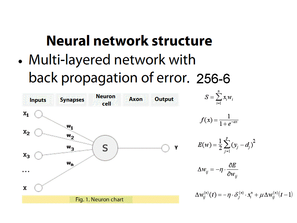 LiteFinance: What is neural network?