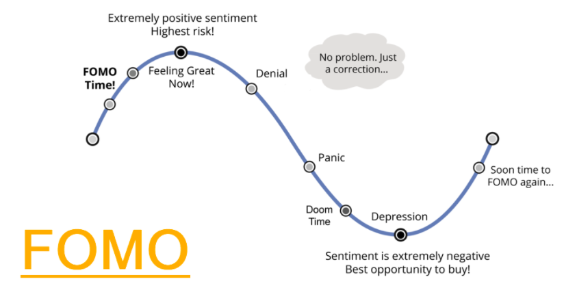 LiteFinance: FOMO and FUD in trading