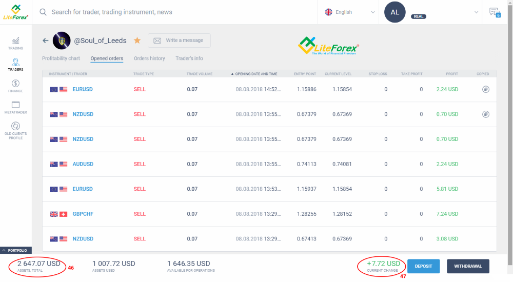 LiteFinance: Cara pelabur beroperasi dalam sistem