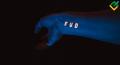 FOMO and FUD: Psychological Traps of Trading
