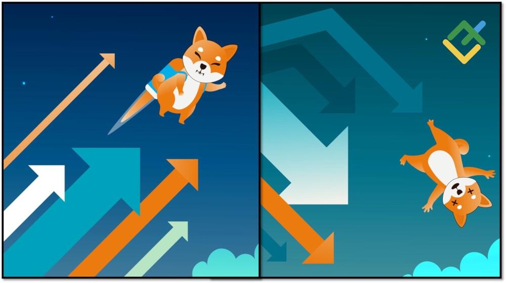LiteFinance: Инвестиции в Shiba Inu: хорошее ли это вложение?