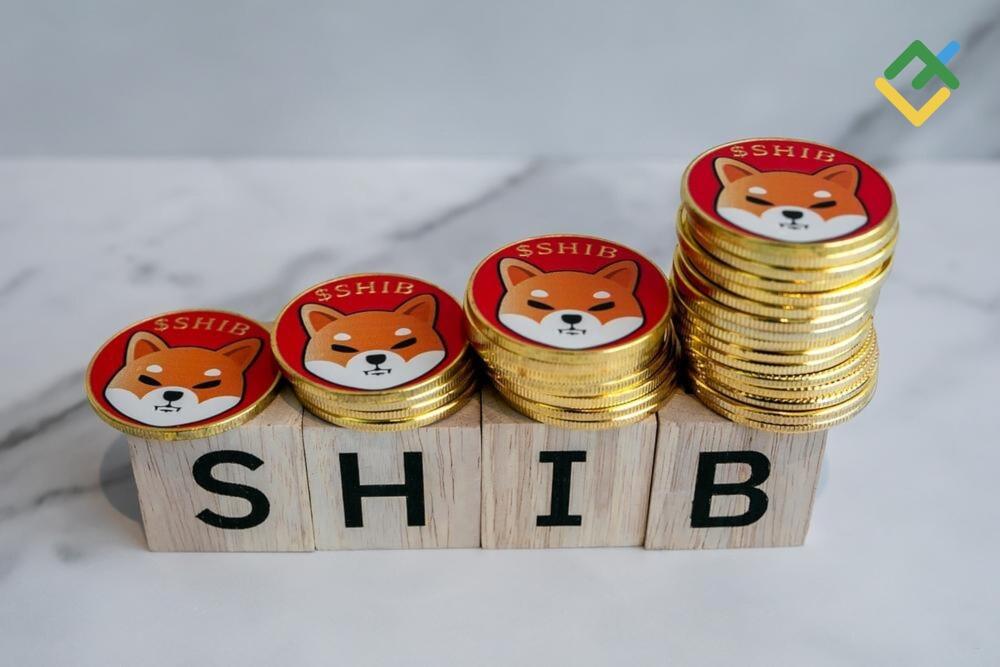 LiteFinance: Является ли Shiba Inu хорошей долгосрочной инвестицией?
