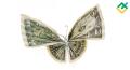 Forex captura la mariposa