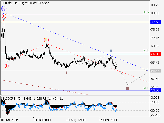 LiteFinance: Analisis