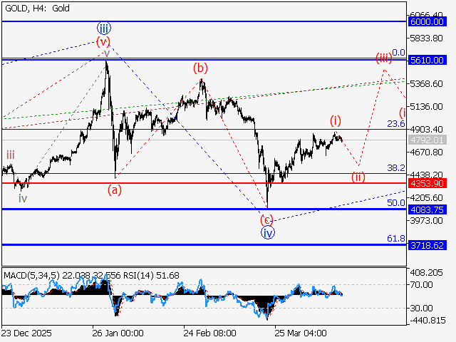 LiteFinance: Analysis