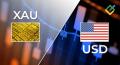 XAU/USD : Analisis Elliott Wave dan Perkiraan untuk 07.02.25 – 14.02.25