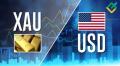 XAUUSD: Analisis Elliott wave dan perkiraan untuk 01.11.24 – 08.11.24
