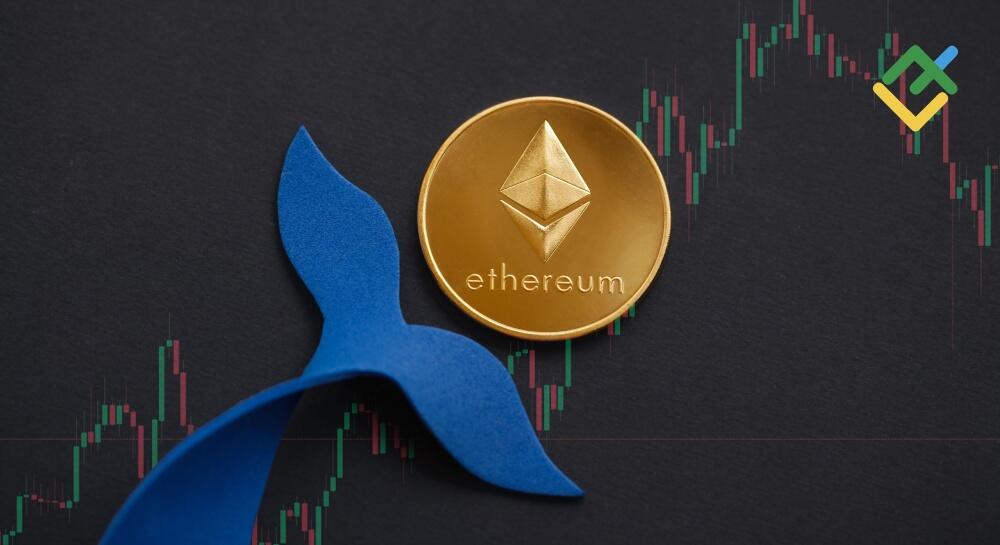 Short-term analysis for BTCUSD, XRPUSD, and ETHUSD for 03.12.2024 | LiteFinance