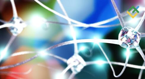 Neuronale Netze auf dem Devisenmarkt