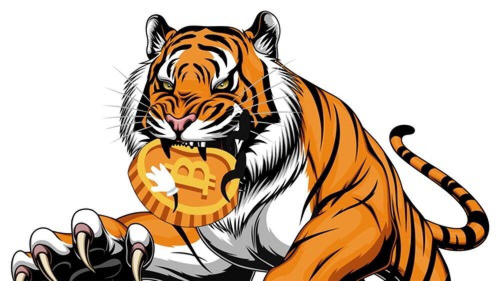 Harimau Asia menggigit Pasar Cryptocurrency